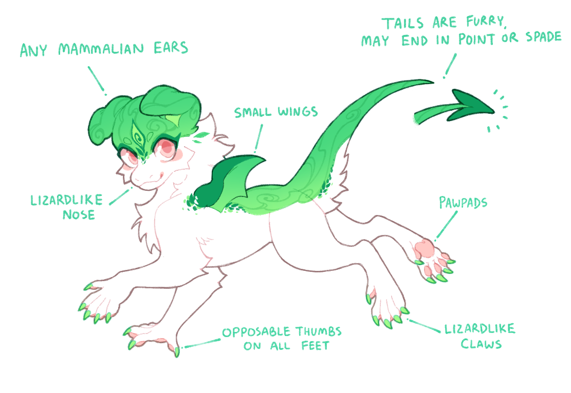 A basic guide to dragolet anatomy, featuring a green and white Dragolet. The same information is listed below.